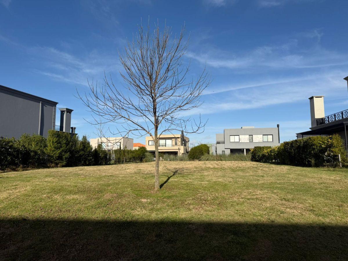 Lote en Venta en Ceibos | Puertos del Lago, Gba Norte - Zonaprop