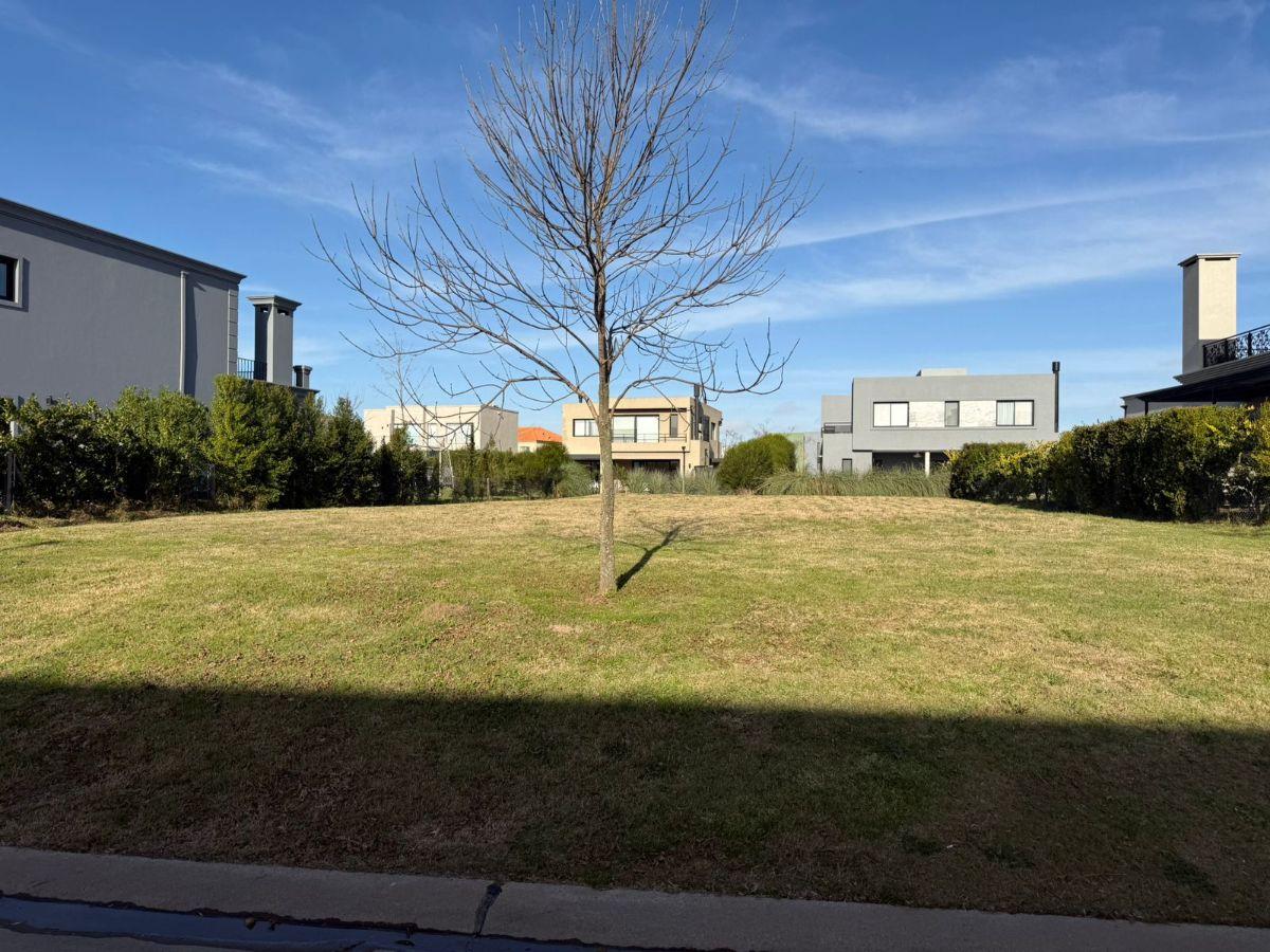 Lote en Venta en Ceibos | Puertos del Lago, Gba Norte - Zonaprop — foto 6